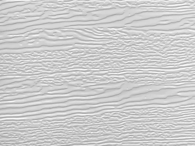 Textura suprafeței Woodgrain pe panoul porții